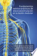 Fundamentos teórico-prácticos de electroestimulación en la lesión medular