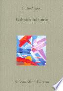 Gabbiani sul Carso