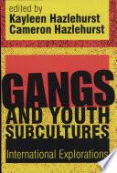 Gangs and Youth Subcultures