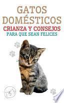 Gatos Domésticos Crianza y Consejos Para que Sean Felices