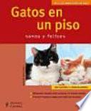 Gatos en un piso