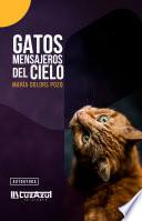 Gatos mensajeros del cielo