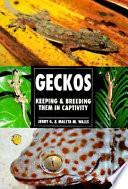 Geckos