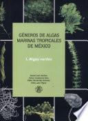 Géneros de algas marinas tropicales de México: Algas verdes
