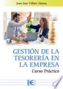 Gestión de la tesorería en la empresa. Curso práctico