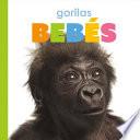 Gorilas Bebés