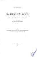 Gramíneas bonaerensis