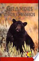 Grandes osos negros (Big Black Bears)