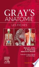 Gray's Anatomie - Les fiches