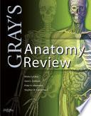 Gray's Anatomy Review