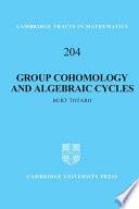 Group Cohomology and Algebraic Cycles