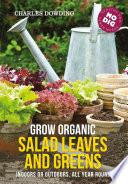 Grow Organic Salad Leaves and Greens