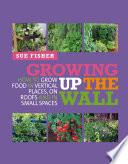 Growing Up the Wall