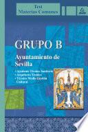 Grupo B. Ayuntamiento de Sevilla. Test Materias Comunes.e-book.