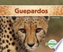 Guepardos (Cheetahs)