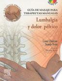 Guía de Masaje Para Terapeutas Manuales: Lumbalgia Y Dolor Pélvico + DVD-ROM