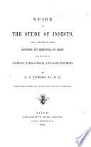 Guide to the Study of Insects