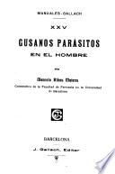 Gusanos parásitos en el hombre