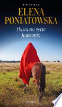Hasta no verte Jesús mío