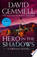Hero In The Shadows