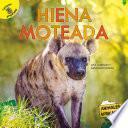 Hiena moteada