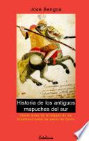 Historia de los Antiguos Mapuches del Sur