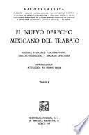 Historia, principios fundamentales, derecho individual y trabajos especiales