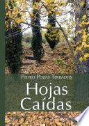 Hojas caídas