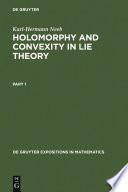 Holomorphy and Convexity in Lie Theory