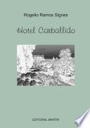 Hotel Carballido