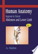 Human Anatomy