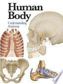 Human Body