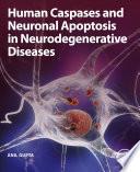 Human Caspases and Neuronal Apoptosis in Neurodegenerative Diseases
