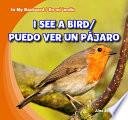 I See a Bird / Puedo Ver Un Pajaro
