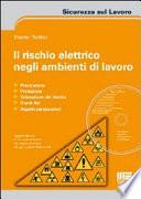 Il rischio elettrico negli ambienti di lavoro. Con CD-ROM