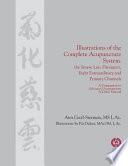 Illustrations of the Complete Acupuncture System