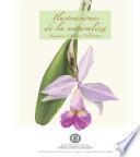 Ilustraciones de la naturaleza