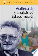 Immanuel Wallerstein y la crisis del Estado-nación