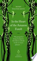 In the Heart of the Amazon Forest