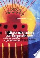 Indigeneidades contemporáneas: cultura, política y globalización