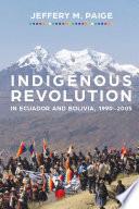 Indigenous Revolution in Ecuador and Bolivia, 1990–2005