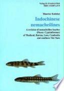 Indochinese Nemacheilines