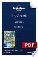 Indonesia 5_5. Molucas