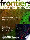Inferior Colliculus Microcircuits