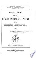 Informe anual
