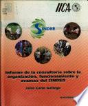 Informe de la consultoria sobre la organizacion, funcionamiento y avances del SINDER