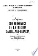 Informe geo-económico de la región castellano-leonesa