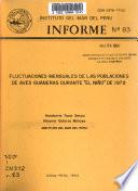Informe