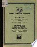 Informe semestral enero-junio 1981