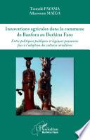 Innovations agricoles dans la commune de Banfora au Burkina Faso
